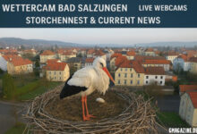 Wettercam Bad Salzungen