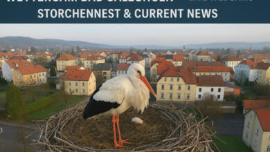 Wettercam Bad Salzungen