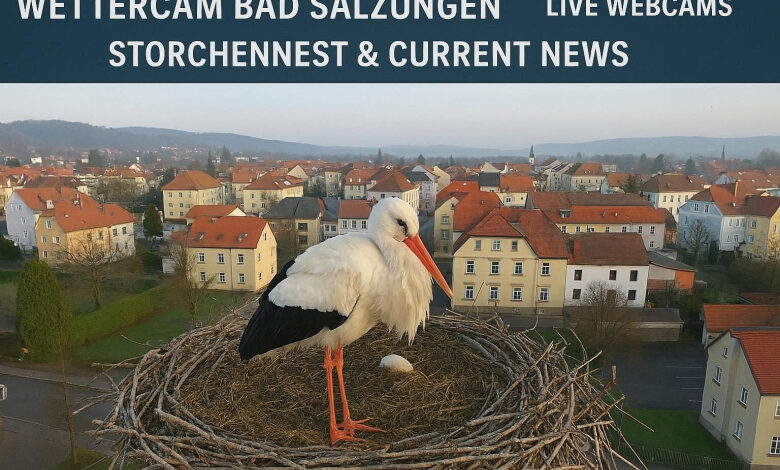 Wettercam Bad Salzungen